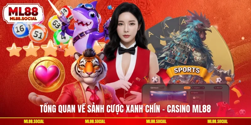 Tổng quan về sảnh cược xanh chín - Casino ML88